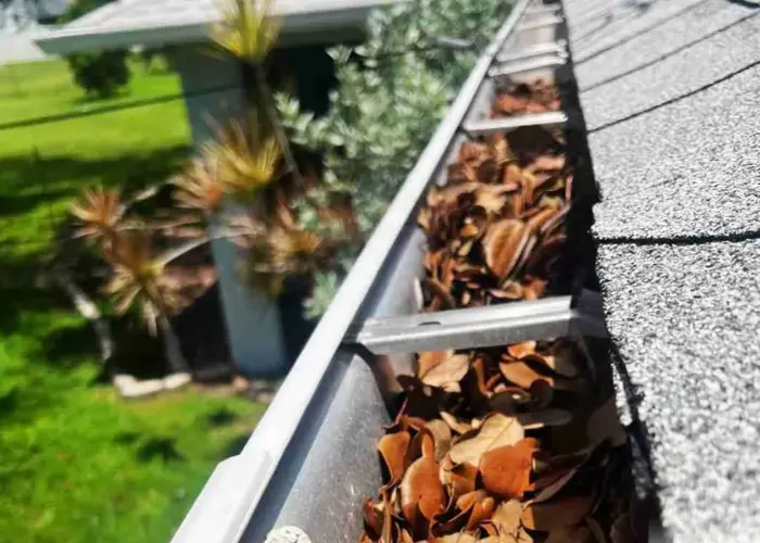 Tallahassee gutter cleaning home page